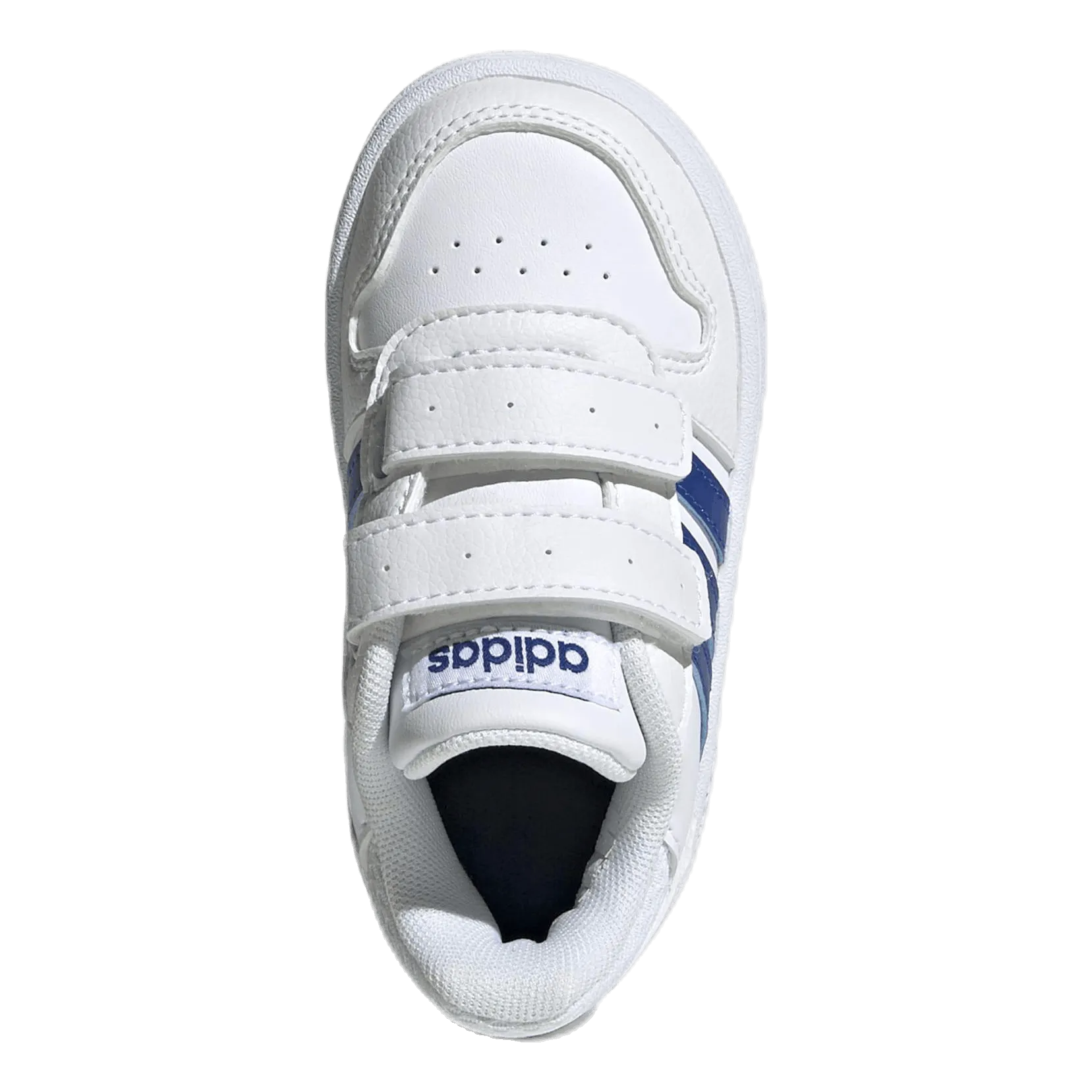Adidas Hoops 2.0 Shoes White