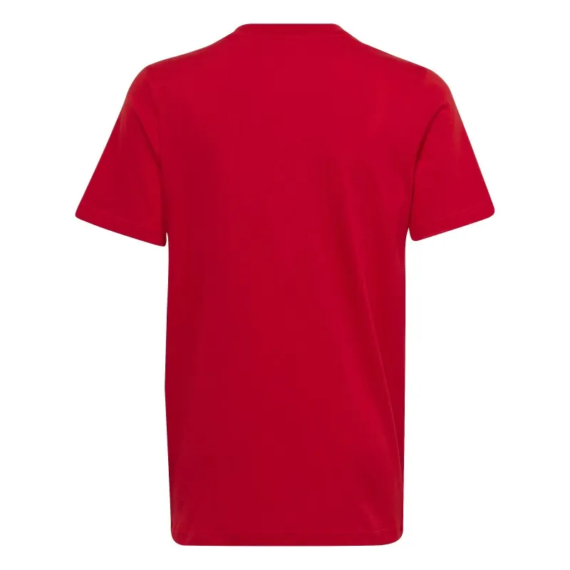 Camiseta adidas Essential Big Logo IC6856