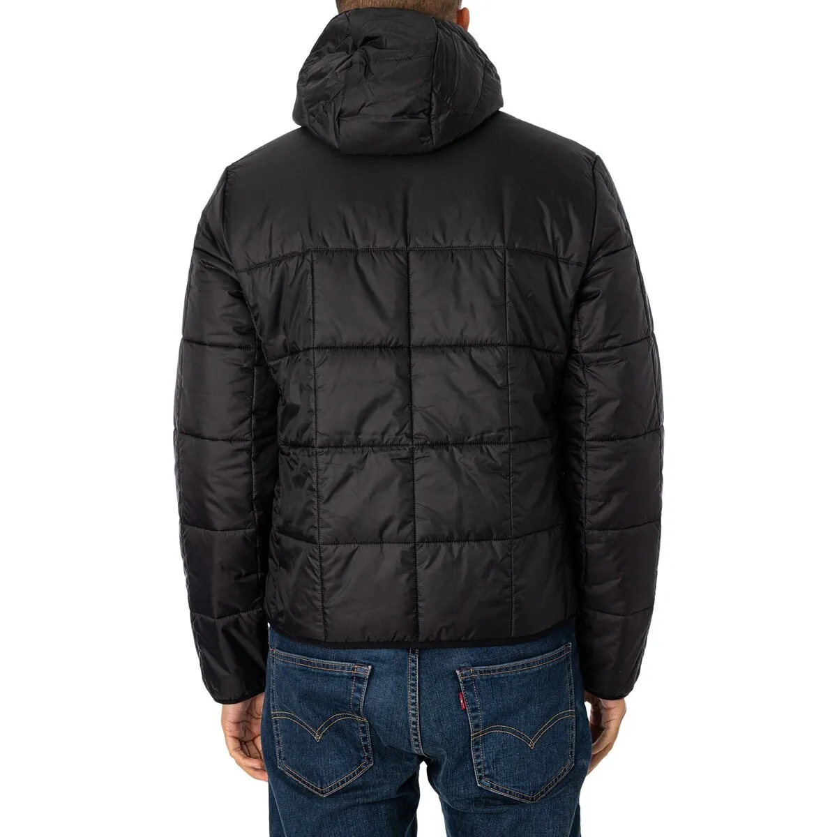 Chaqueta Acolchada Con Logo