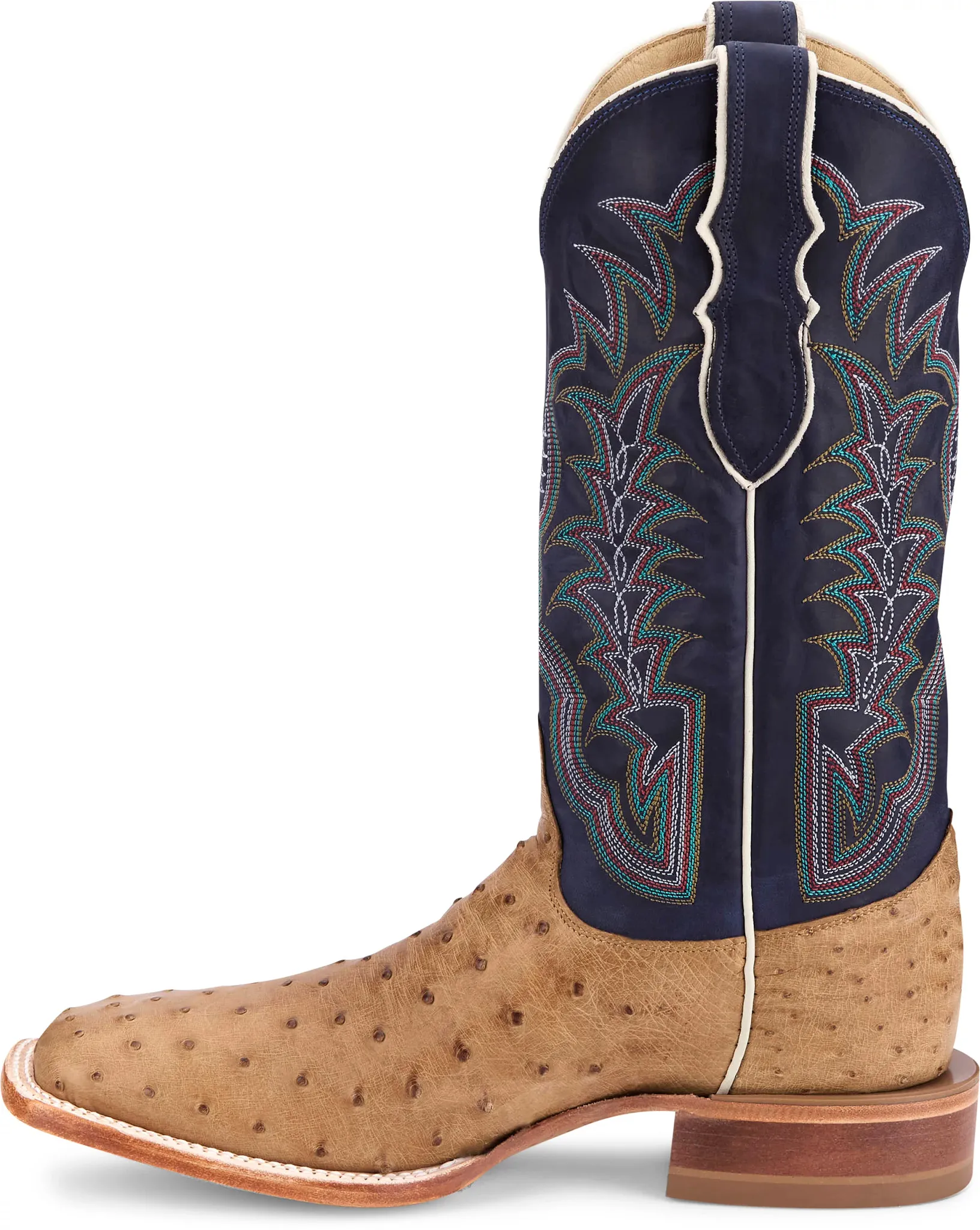 Chisolm 13" Full Quill Ostrich