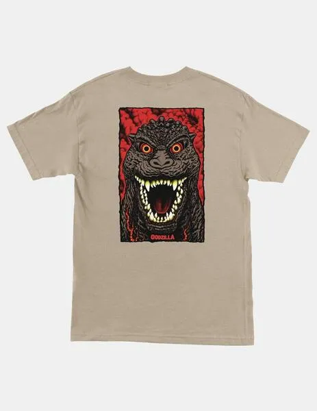 CTA. SANTA CRUZ X GODZILLA DESTROYER STRIPES  SAN