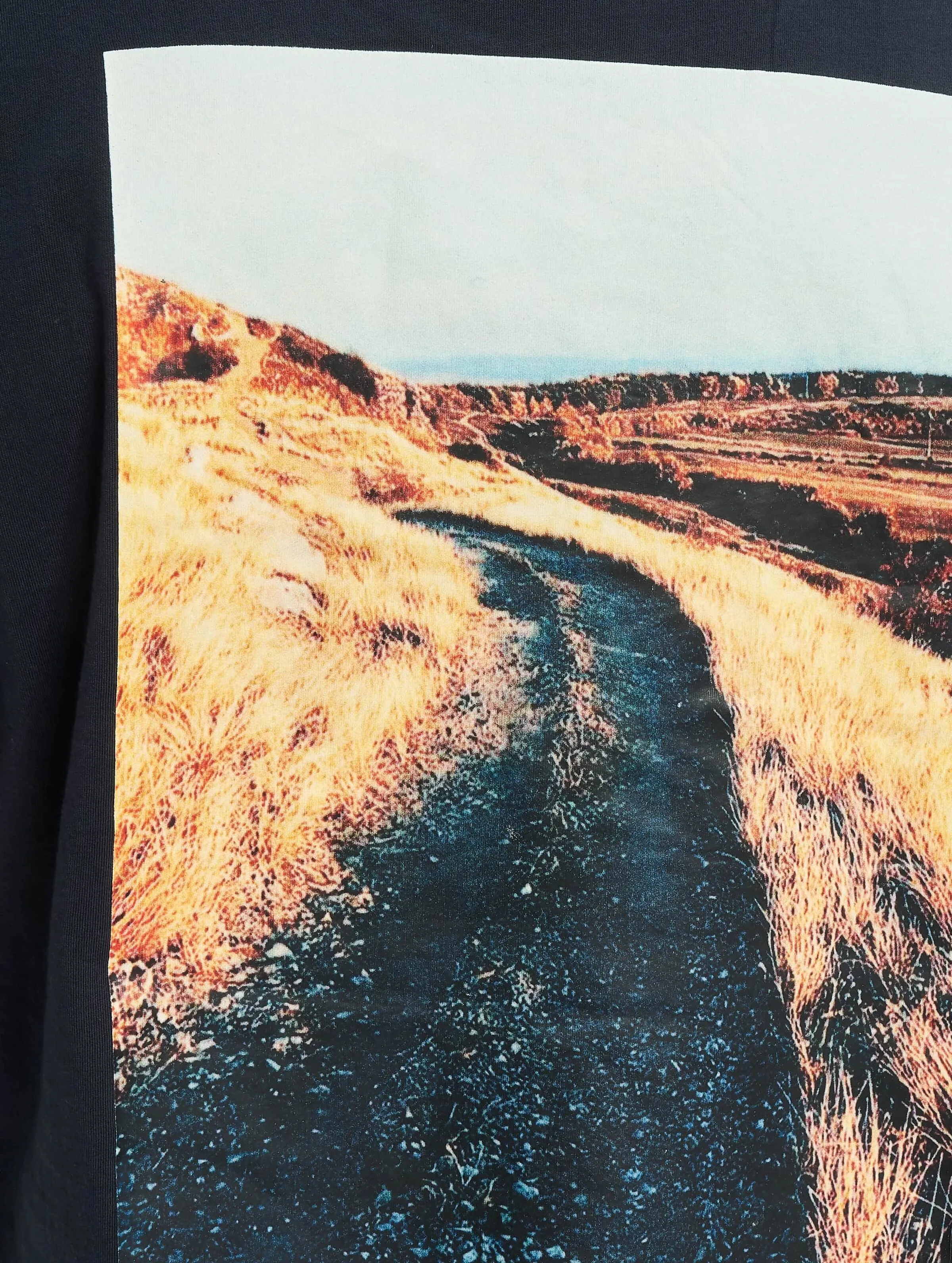 Desert Road Ls