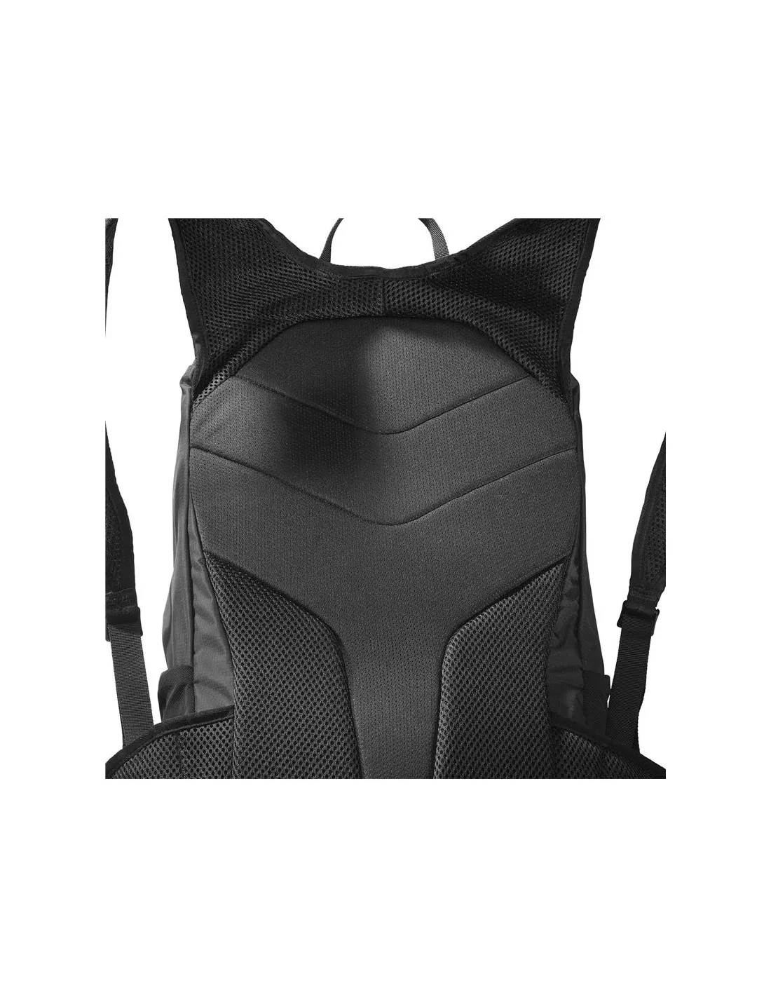 Mochila de Trail Salomon Trailblazer 20 Negro
