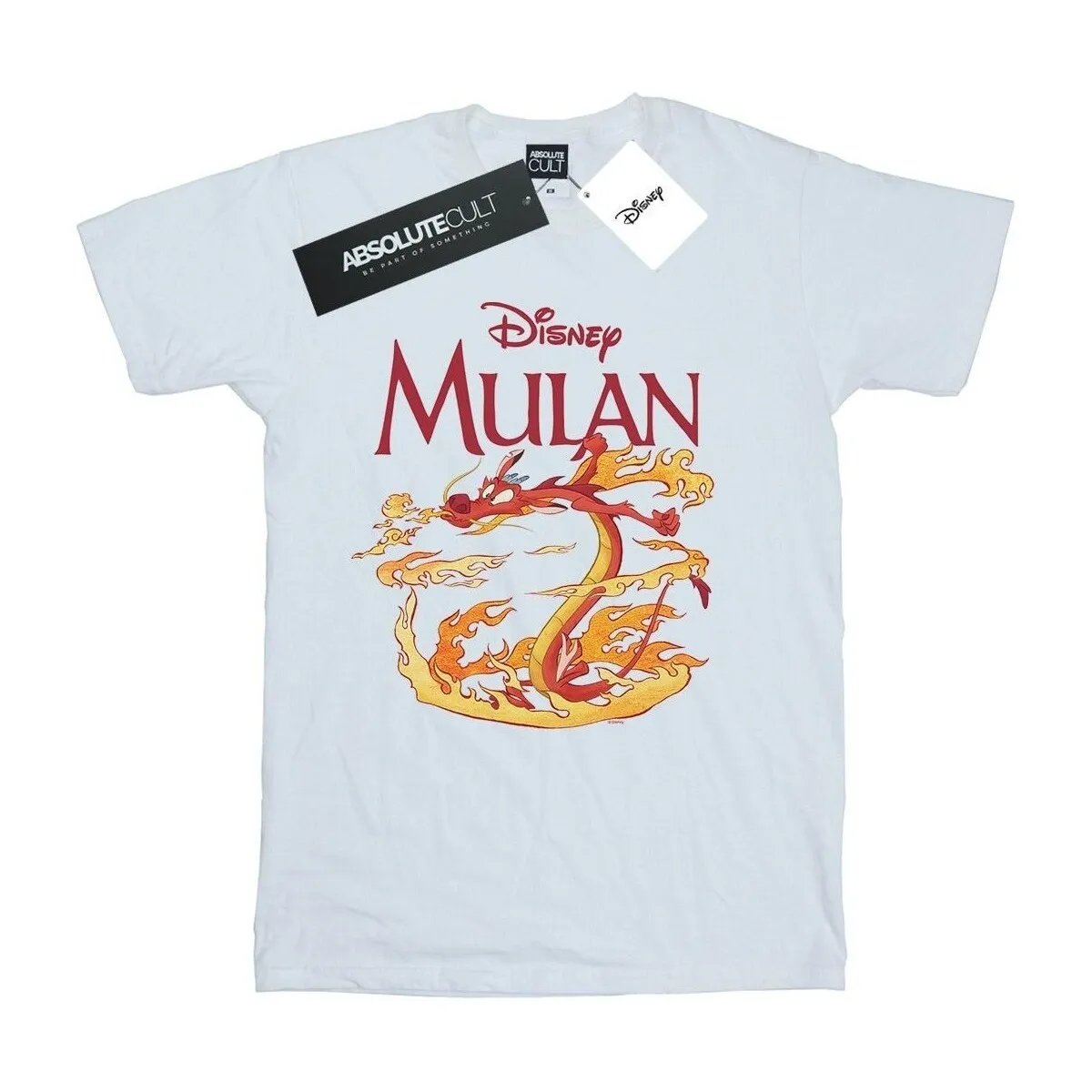Mulan Mushu Dragon Fire