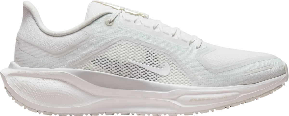 NIKE PEGASUS 41 GORETEX