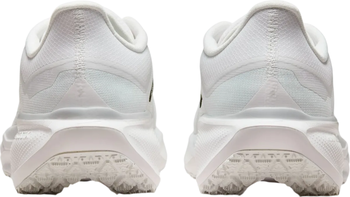 NIKE PEGASUS 41 GORETEX