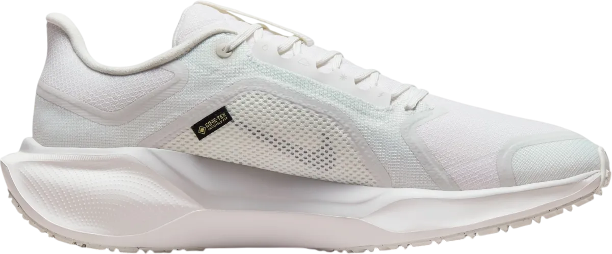 NIKE PEGASUS 41 GORETEX