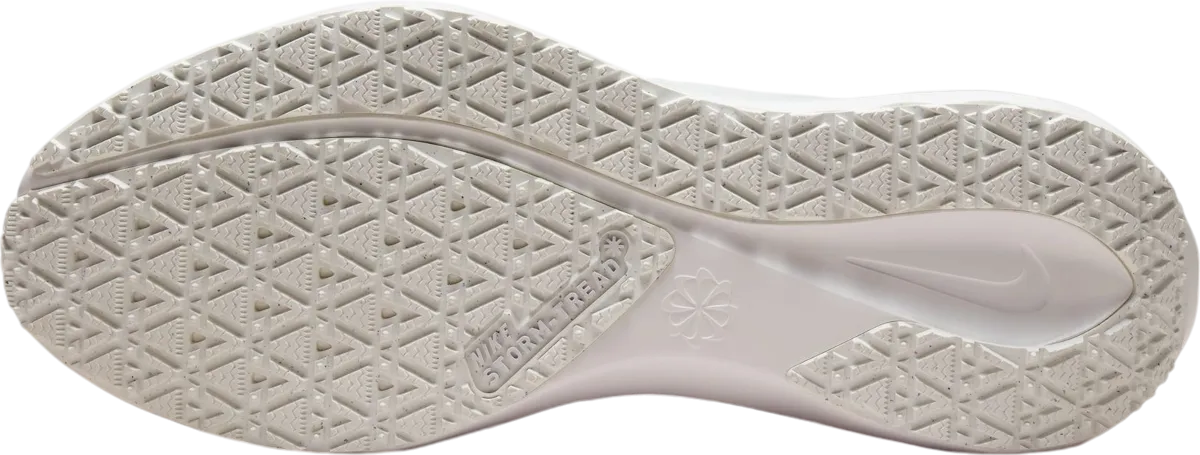 NIKE PEGASUS 41 GORETEX