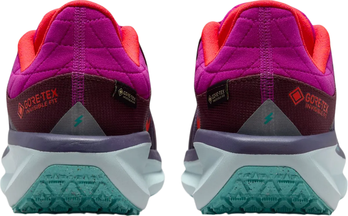 NIKE WINFLO 11 GORETEX SE
