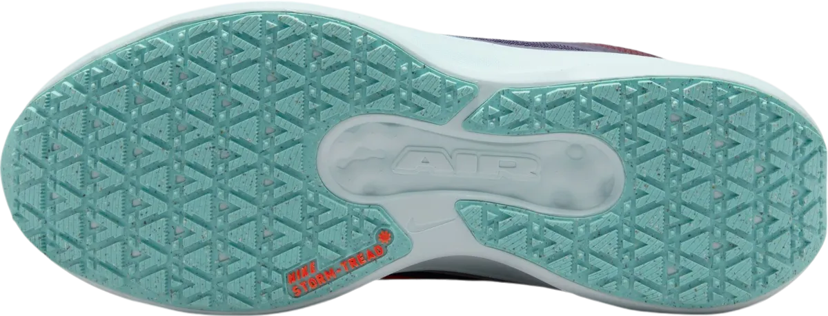 NIKE WINFLO 11 GORETEX SE