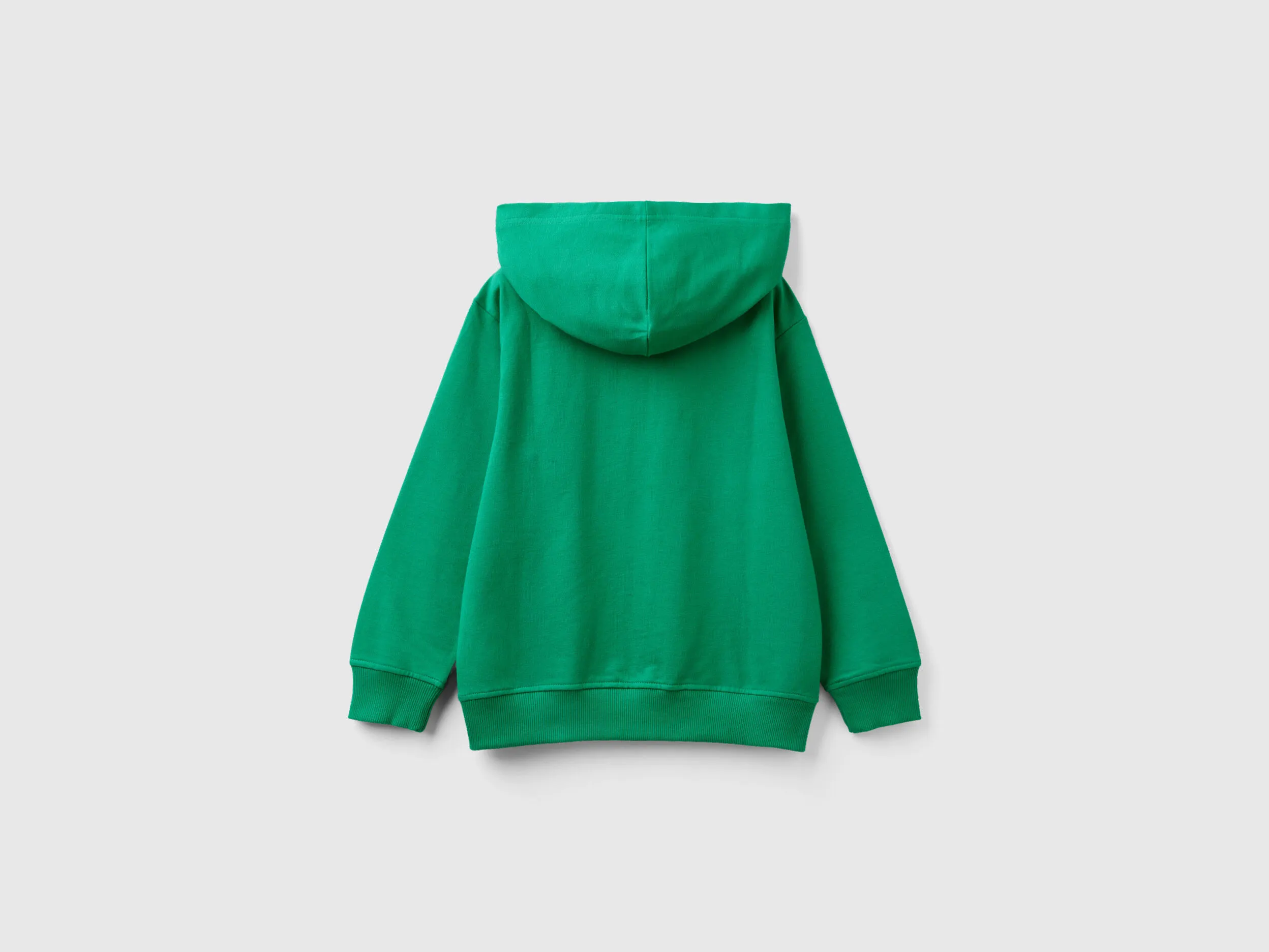 Sudadera con cremallera y capucha