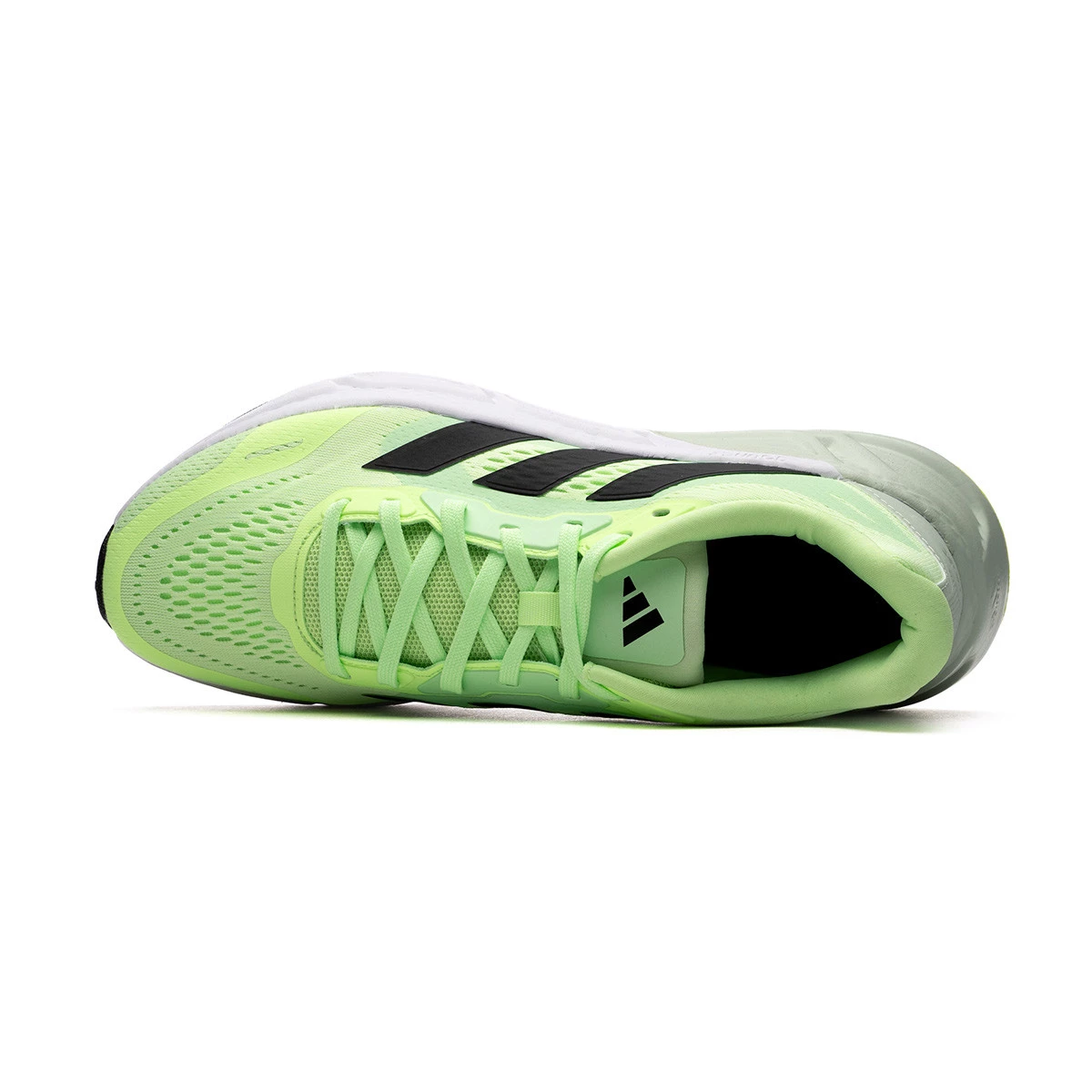 Zapatilla adidas Questar